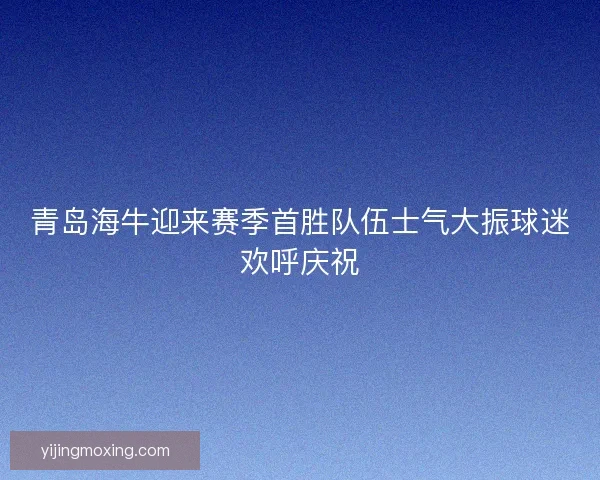 青岛海牛迎来赛季首胜队伍士气大振球迷欢呼庆祝