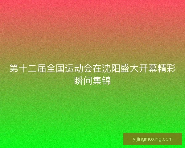 第十二届全国运动会在沈阳盛大开幕精彩瞬间集锦
