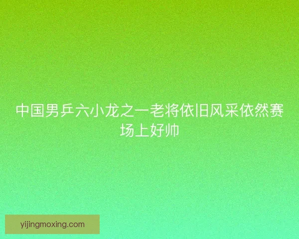 中国男乒六小龙之一老将依旧风采依然赛场上好帅 中国男乒六小龙之一老将依旧风采依然赛场上好帅